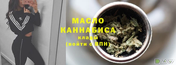 2c-b Бородино
