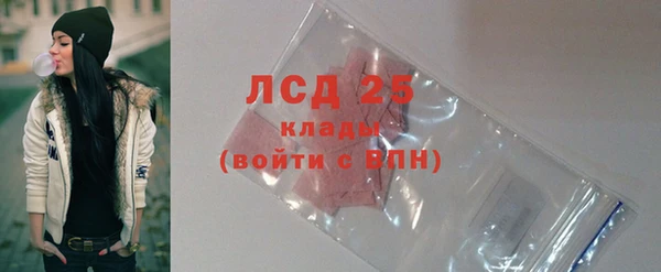 spice Богородицк