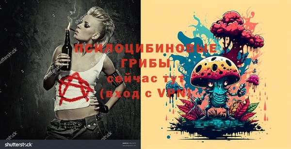 spice Верея