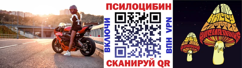 Псилоцибиновые грибы Psilocybine cubensis  Камышлов 
